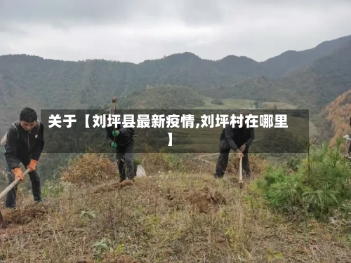 关于【刘坪县最新疫情,刘坪村在哪里】