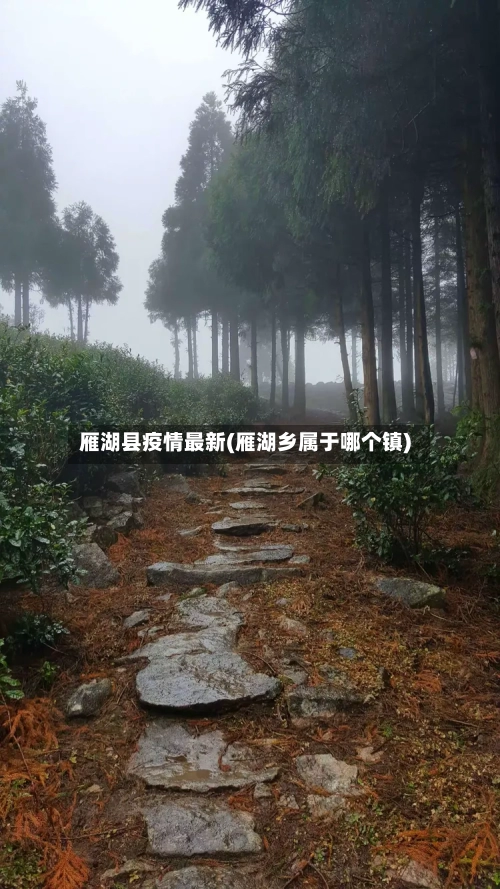 雁湖县疫情最新(雁湖乡属于哪个镇)