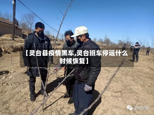 【灵台县疫情黑车,灵台班车停运什么时候恢复】