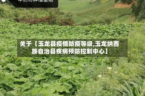 关于【玉龙县疫情防疫等级,玉龙纳西族自治县疾病预防控制中心】-第3张图片
