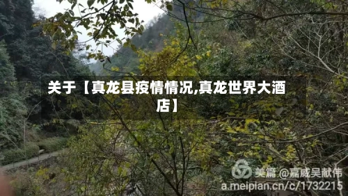 关于【真龙县疫情情况,真龙世界大酒店】-第3张图片