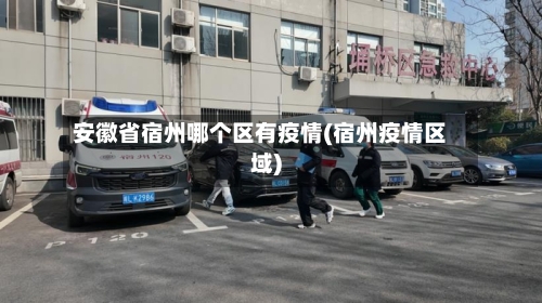安徽省宿州哪个区有疫情(宿州疫情区域)