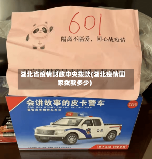 湖北省疫情财政中央拨款(湖北疫情国家拨款多少)-第3张图片