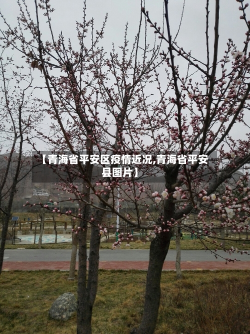 【青海省平安区疫情近况,青海省平安县图片】