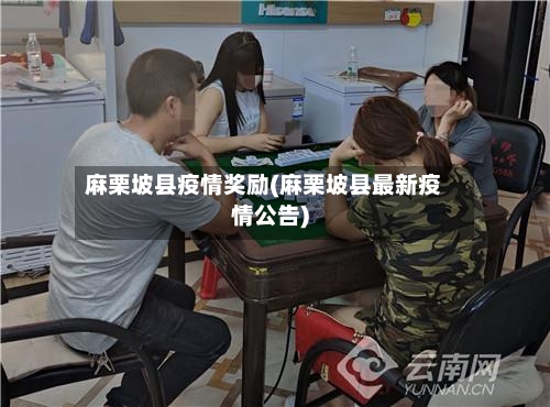 麻栗坡县疫情奖励(麻栗坡县最新疫情公告)