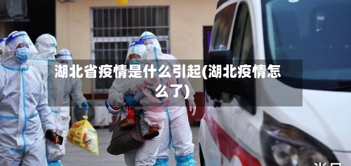 湖北省疫情是什么引起(湖北疫情怎么了)