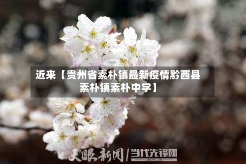 近来【贵州省素朴镇最新疫情黔西县素朴镇素朴中学】-第3张图片