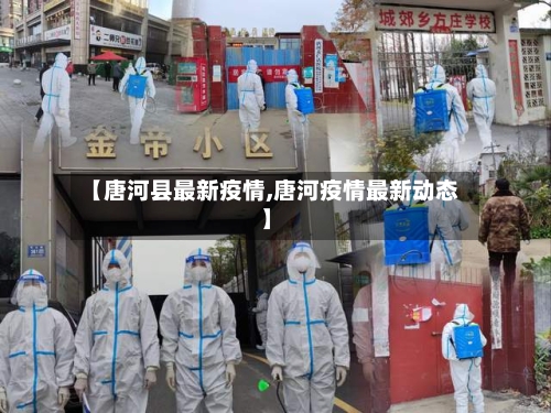 【唐河县最新疫情,唐河疫情最新动态】