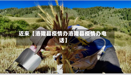 近来【洛隆县疫情办洛隆县疫情办电话】
