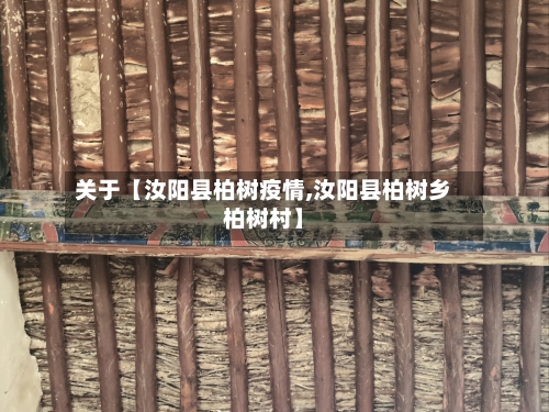 关于【汝阳县柏树疫情,汝阳县柏树乡柏树村】