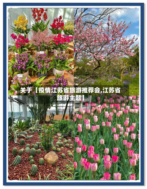关于【疫情江苏省旅游推荐会,江苏省旅游主题】