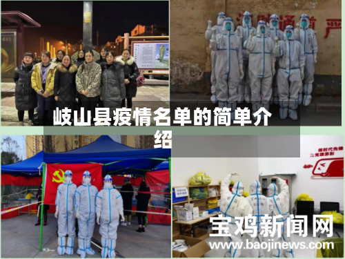 岐山县疫情名单的简单介绍