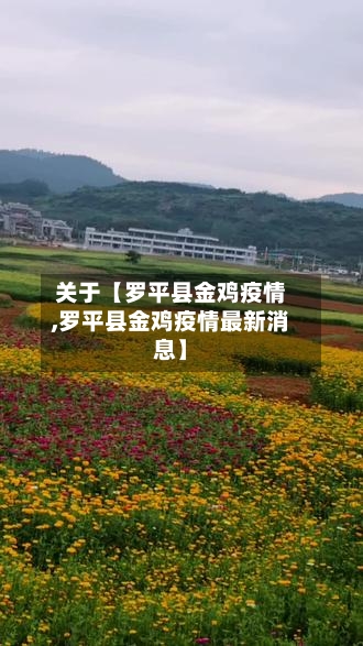 关于【罗平县金鸡疫情,罗平县金鸡疫情最新消息】