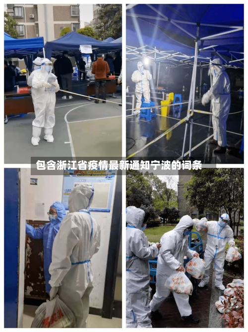包含浙江省疫情最新通知宁波的词条