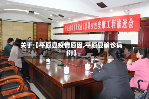 关于【平原县疫情原因,平原县确诊病例】