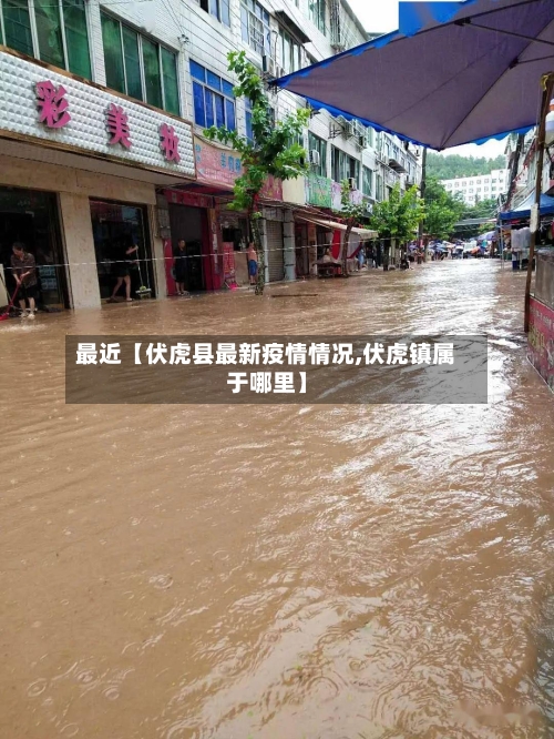 最近【伏虎县最新疫情情况,伏虎镇属于哪里】-第3张图片