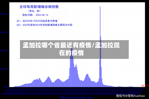孟加拉哪个省最近有疫情/孟加拉现在的疫情-第2张图片
