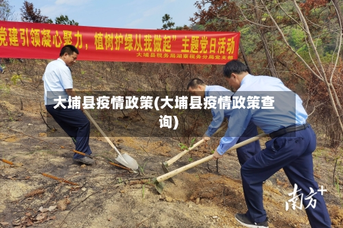 大埔县疫情政策(大埔县疫情政策查询)-第2张图片