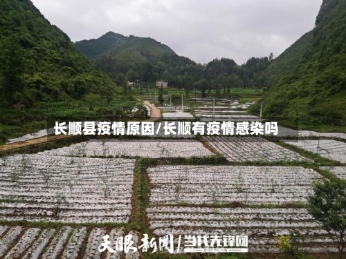 长顺县疫情原因/长顺有疫情感染吗