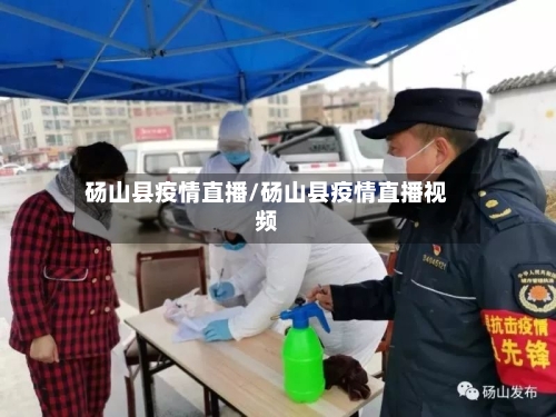 砀山县疫情直播/砀山县疫情直播视频-第2张图片