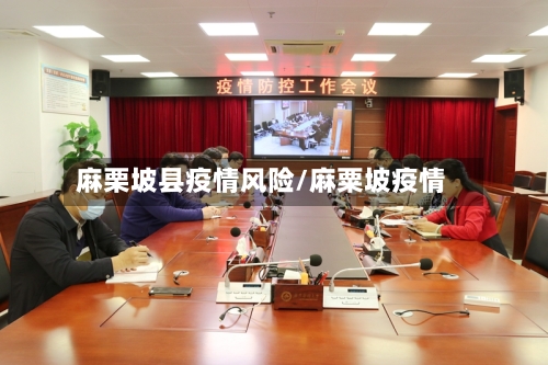 麻栗坡县疫情风险/麻粟坡疫情