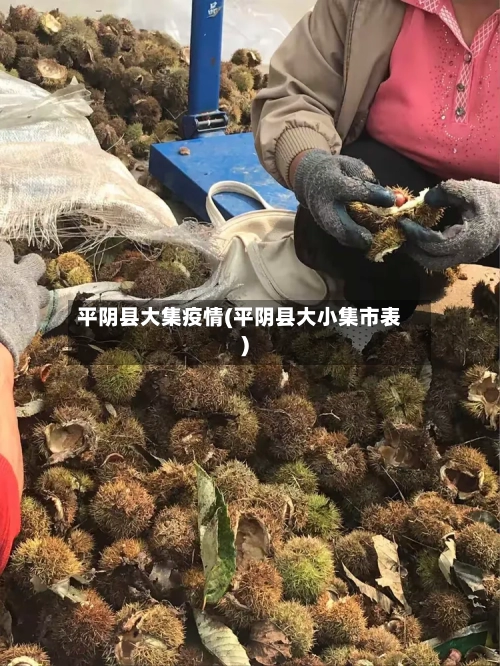 平阴县大集疫情(平阴县大小集市表)