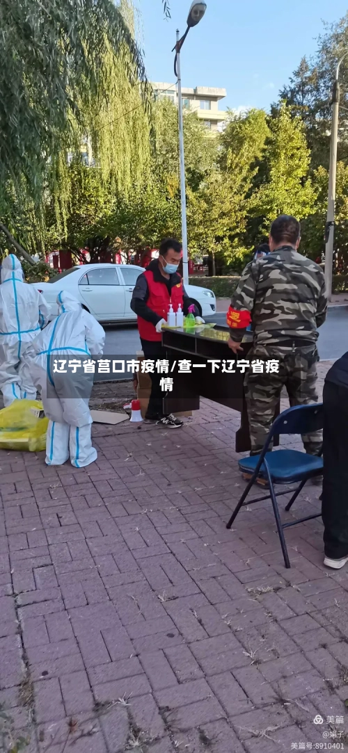 辽宁省莒口市疫情/查一下辽宁省疫情-第3张图片