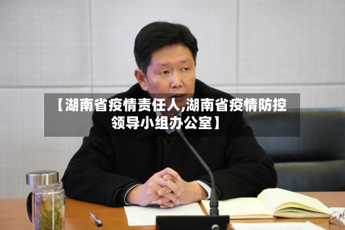 【湖南省疫情责任人,湖南省疫情防控领导小组办公室】