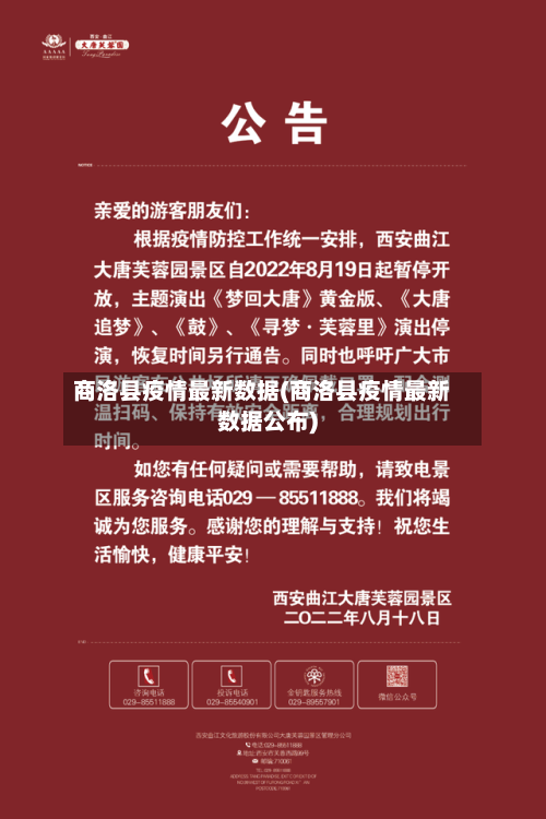 商洛县疫情最新数据(商洛县疫情最新数据公布)-第2张图片