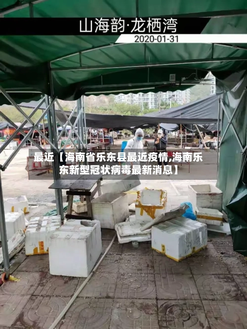 最近【海南省乐东县最近疫情,海南乐东新型冠状病毒最新消息】-第2张图片