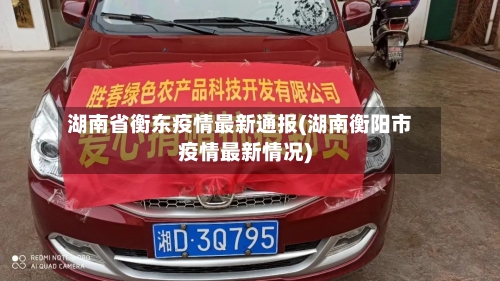 湖南省衡东疫情最新通报(湖南衡阳市疫情最新情况)