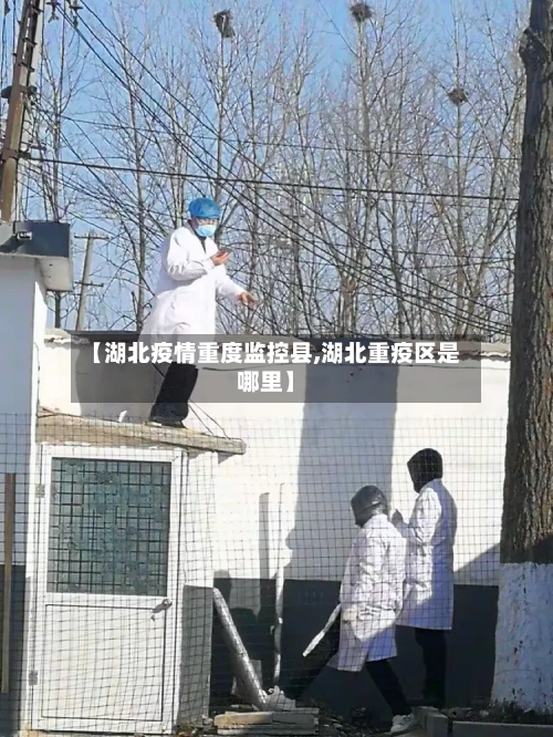 【湖北疫情重度监控县,湖北重疫区是哪里】