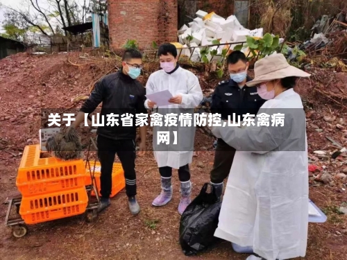 关于【山东省家禽疫情防控,山东禽病网】-第3张图片