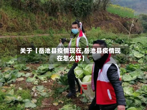 关于【岳池县疫情现在,岳池县疫情现在怎么样】-第2张图片