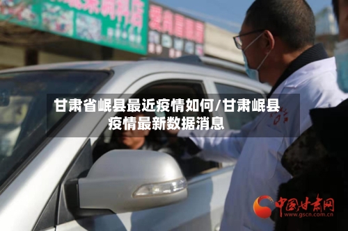 甘肃省岷县最近疫情如何/甘肃岷县疫情最新数据消息-第2张图片