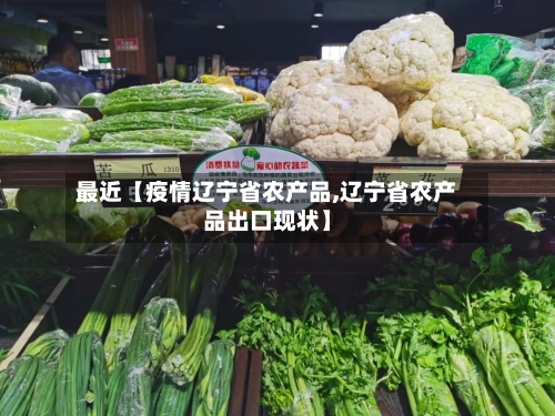 最近【疫情辽宁省农产品,辽宁省农产品出口现状】
