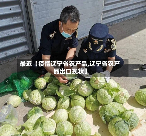 最近【疫情辽宁省农产品,辽宁省农产品出口现状】-第2张图片