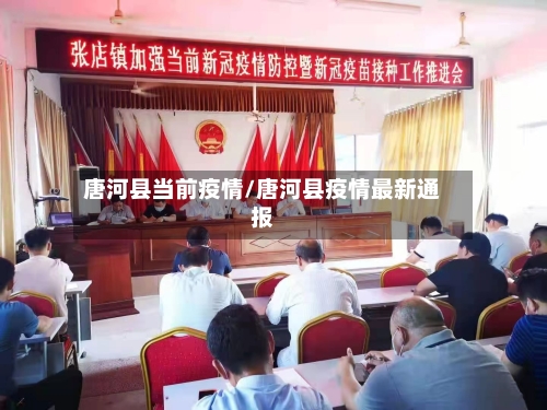 唐河县当前疫情/唐河县疫情最新通报-第2张图片