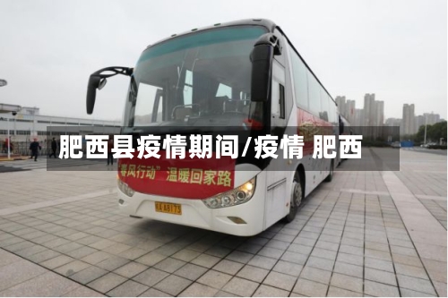 肥西县疫情期间/疫情 肥西