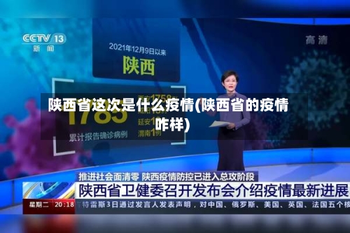 陕西省这次是什么疫情(陕西省的疫情咋样)