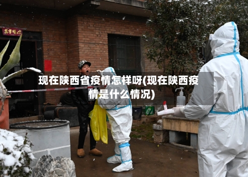 现在陕西省疫情怎样呀(现在陕西疫情是什么情况)