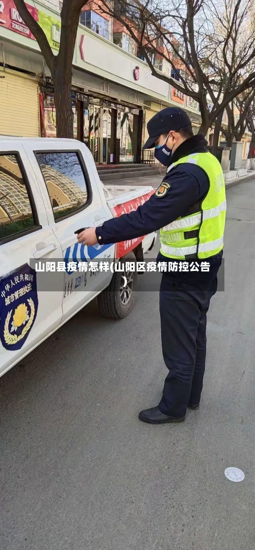山阳县疫情怎样(山阳区疫情防控公告)