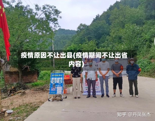 疫情原因不让出县(疫情期间不让出省内容)-第3张图片