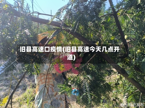 旧县高速口疫情(旧县高速今天几点开道)-第2张图片