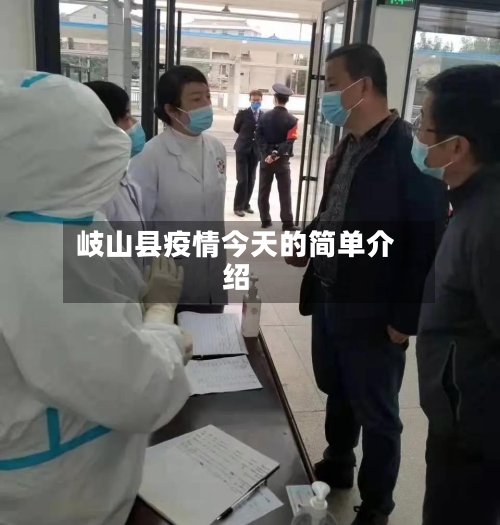 岐山县疫情今天的简单介绍