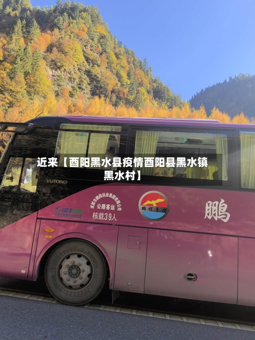 近来【酉阳黑水县疫情酉阳县黑水镇黑水村】