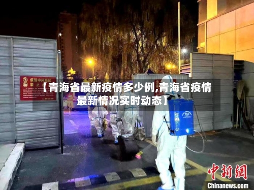【青海省最新疫情多少例,青海省疫情最新情况实时动态】-第3张图片