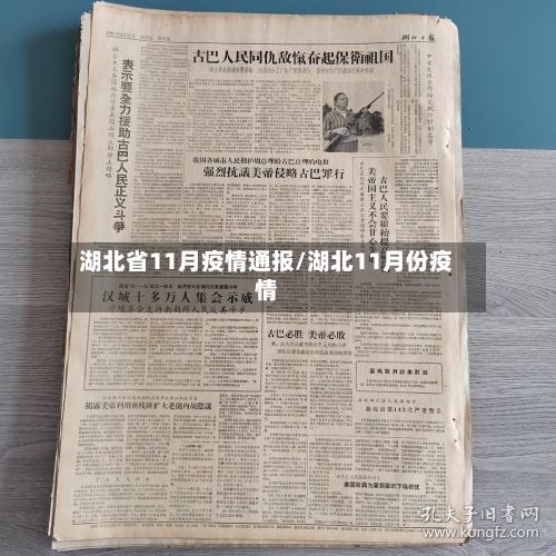 湖北省11月疫情通报/湖北11月份疫情-第2张图片