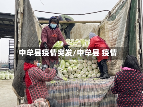 中牟县疫情突发/中牟县 疫情-第2张图片