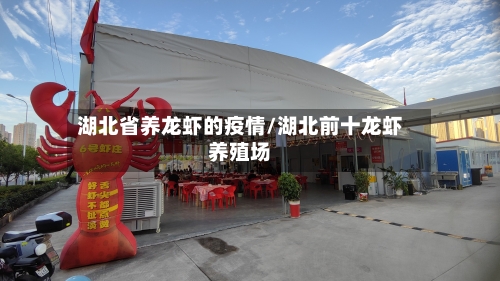 湖北省养龙虾的疫情/湖北前十龙虾养殖场